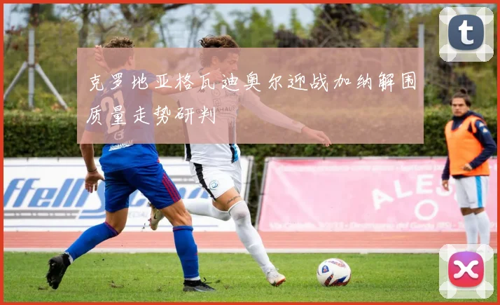 克罗地亚格瓦迪奥尔迎战加纳解围质量走势研判