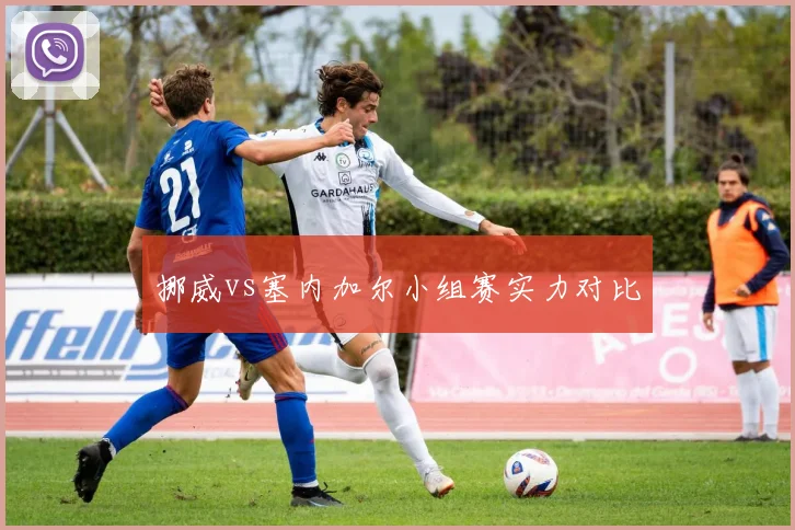 挪威vs塞内加尔小组赛实力对比