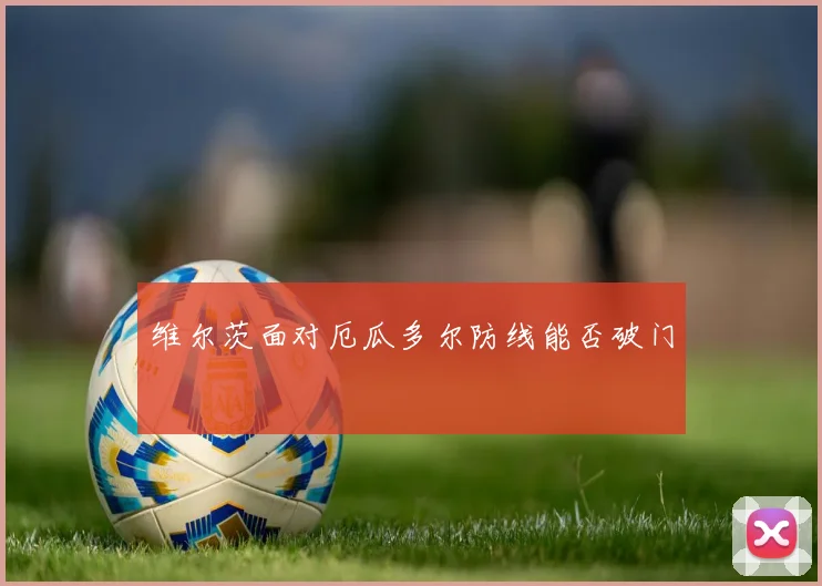 维尔茨面对厄瓜多尔防线能否破门