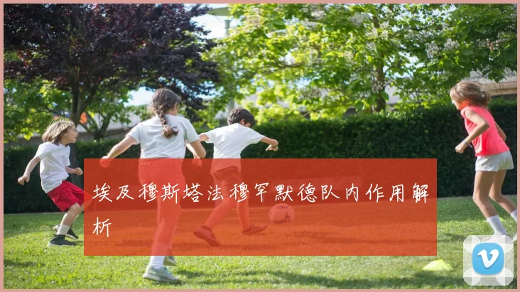 埃及穆斯塔法穆罕默德队内作用解析