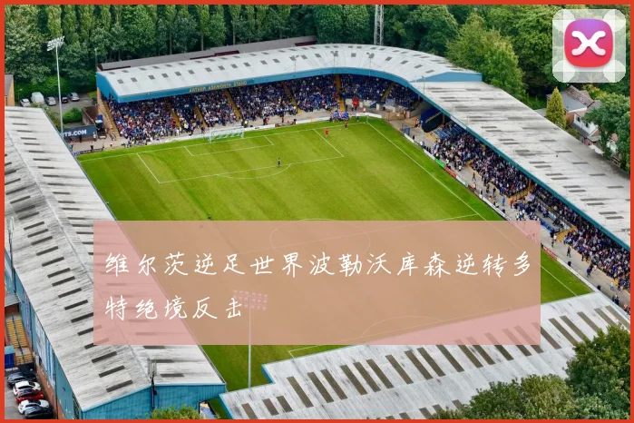 维尔茨逆足世界波勒沃库森逆转多特绝境反击