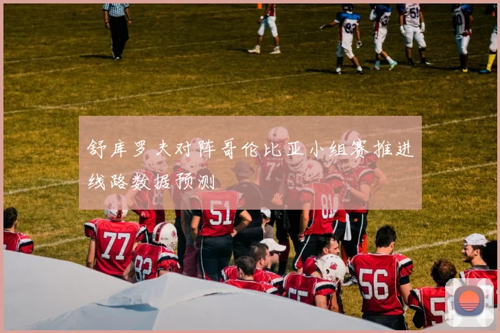 舒库罗夫对阵哥伦比亚小组赛推进线路数据预测