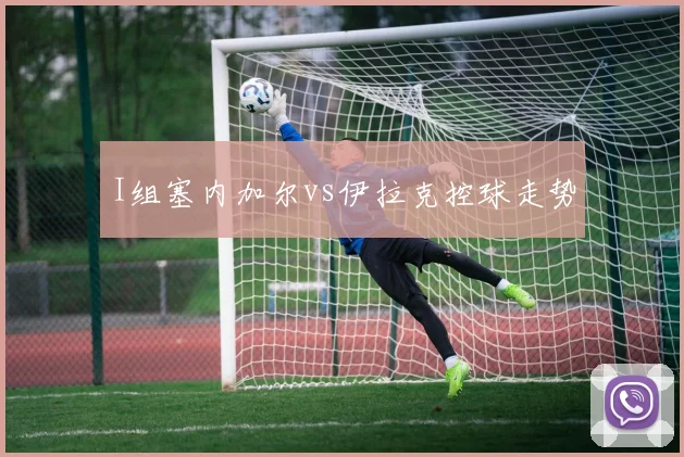 I组塞内加尔vs伊拉克控球走势